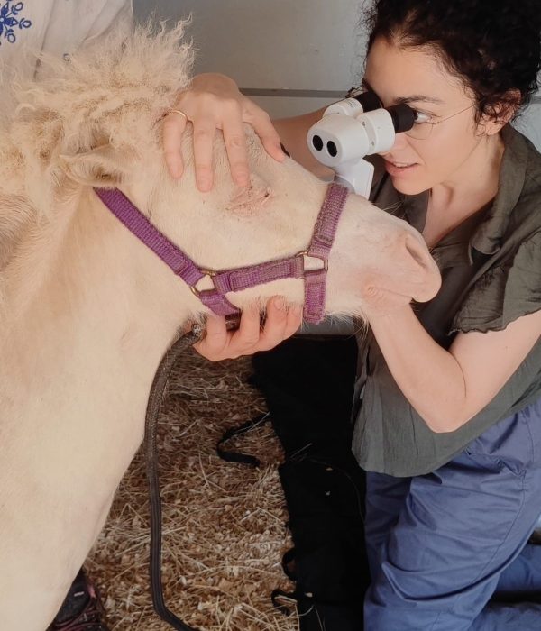 WhatsApp Image 2026 02 21 at 19.15.52